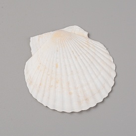 Natural Shell Painting Accessories, Painting Supplies