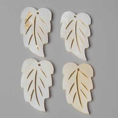 Natural Freshwater Shell Pendants, Leaf