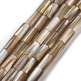 Natural Freshwater Shell Beads Strands, Column