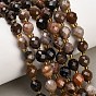 Natural Petrified Wood Beads Strands, Round, Faceted, with Seed Beads