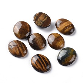 Cabochons oeil serré jaune naturel, ovale