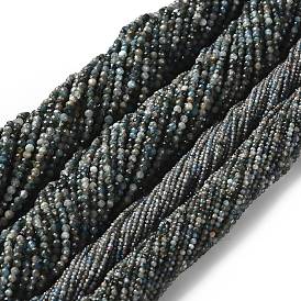 Природного апатита нитей бисера, граненые круглые
