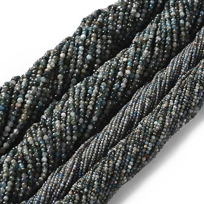 Природного апатита нитей бисера, граненые круглые