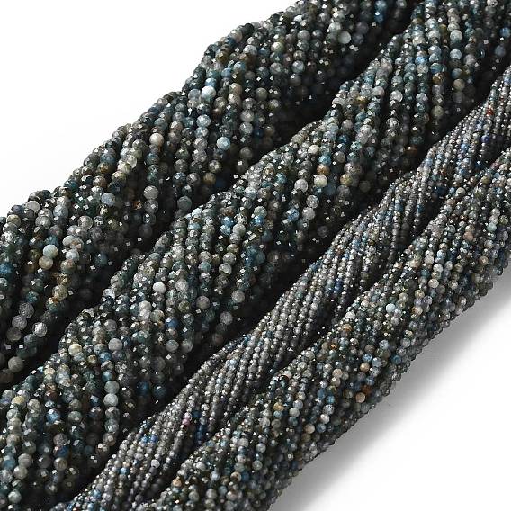 Природного апатита нитей бисера, граненые круглые