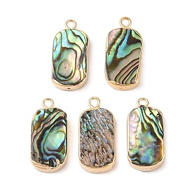 Natural Paua Shell Pendants, Oval Charms with Brass Edge