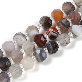 Natural Botswana Agate Beads Strands, Faceted, Rondelle, with Seed Beads