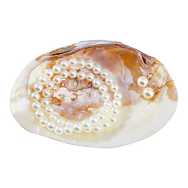 Natural Shell Ornaments, Shell Shape, Micro Landscape Fish Tank Decoration