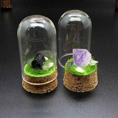Raw Nuggets Natural Gemstone Specimen Display Decorations, Cork & Glass Arch Bell Jar for Micro Landscape Home Decorations