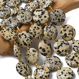 Природные яшмы далматин бисер нитей, граненый шестиугольный разрез, плоско-круглые, с бисером