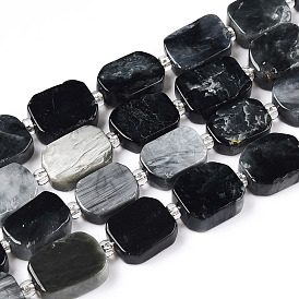 Natural Eagle Eye Stone Beads Strands, with Seed Beads, Rectangle