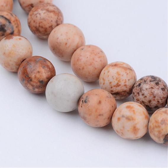 Natural Picture Jasper Beads Strands, Round