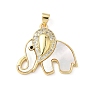 Подвески в форме ракушек из латуни с микропаве и кубическим цирконием, слон, без свинца и без кадмия, долговечный, реальный 18 k позолоченный, стойки покрытие