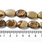 Natural Picture Jasper Beads Strands, Flat Oval