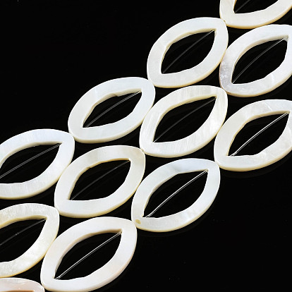 Natural Freshwater Shell Beads Strands, Horse Eye