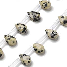 Natural Dalmatian Jasper Beads Strands, Faceted, Teardrop, Top Drilled