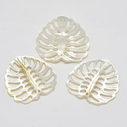 Natural Mother of Pearl Shell Pendants, Tropical Leaf Charms, Monstera Leaf