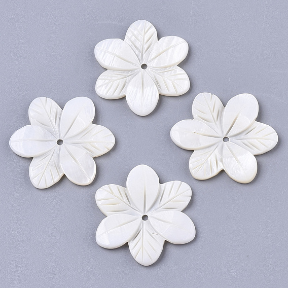 Natural Freshwater Shell Beads, Carved, Flower