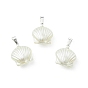 Абс пластмассовые жемчужные подвески, подвески в форме ракушек, с 304 из нержавеющей стали и латуни