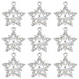 10 шт. Стеклянные подвески, Сплав с поиска, платина, звезда