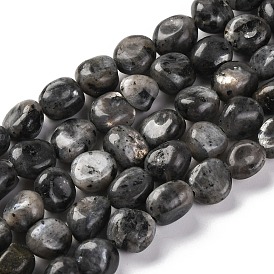 Natural Larvikite Beads Strands, Nuggets, Tumbled Stone