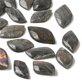 Natural Labradorite Palm Stone Massager, Worry Stone for Anxiety Therapy, Reiki Energy Balancing Meditation Gift, Leaf