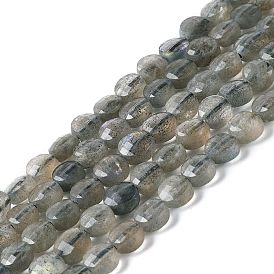 Natural Labradorite Beads Strands, Faceted, Flat Round, Grade AAA
