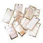 Natural Shell Pendants,  Rectangle Charm, with Golden Brass Edge