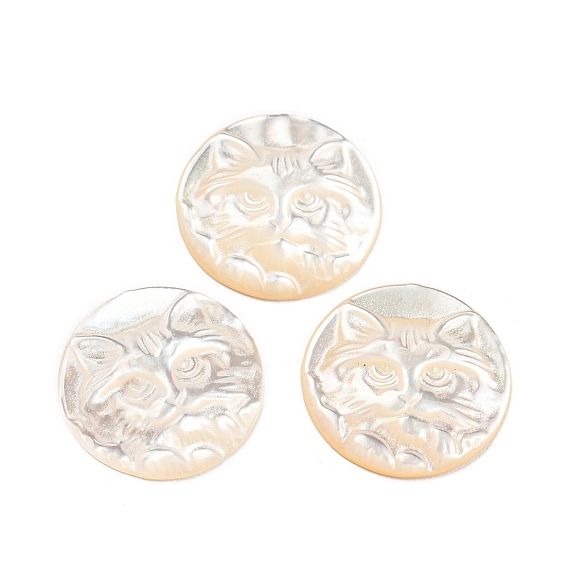 Cabochons de coquillages naturels, plat rond avec tigre gravé