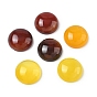 Natürliche Achat Cabochons, gefärbt und erhitzt, Kuppel / Halbrund