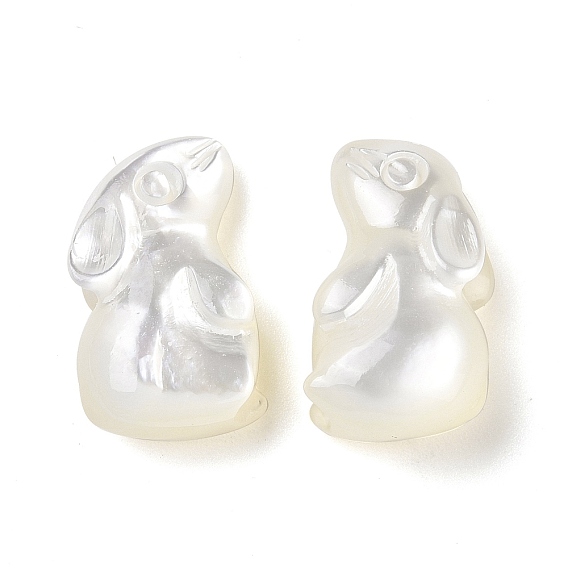 Natural White Shell Beads, Half Drilled, Rabbit