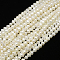 Natural Cultured Freshwater Pearl Beads Strands, Potato