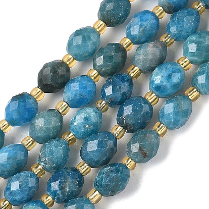 Природного апатита нитей бисера, граненые, рис, с бисером