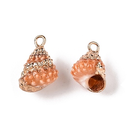 Natural Sea Shell Pendants, Shell Shaped Charms with Golden Tone Iron Loops