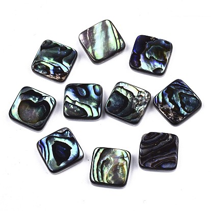 Natural Abalone Shell/Paua Shell Cabochons, with Freshwater Shell, Square
