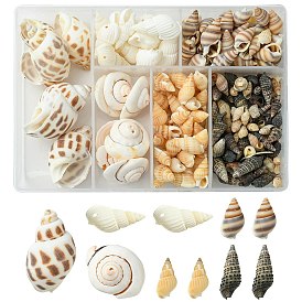 Natural Spiral Shell Beads, Mixed Shapes