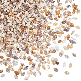 Мини-бусины из натуральных ракушек, неочищенные / без отверстий, для diy craft