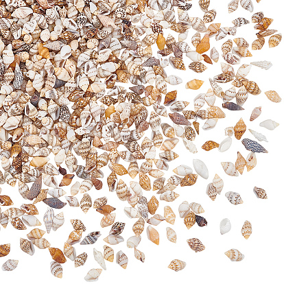 Мини-бусины из натуральных ракушек, неочищенные / без отверстий, для diy craft