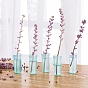 Tubes d'eau de fleur en plastique, avec bouchon, garder le contenant hydroponique de rhizome frais, tube floral pour compositions florales