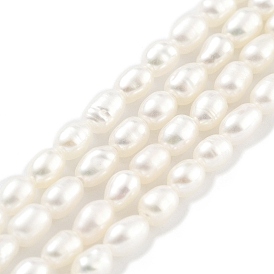 Natural Cultured Freshwater Pearl Beads Strands, Rice