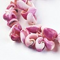 Natural Spiral Shell Beads Strands, Dyed, Nuggets