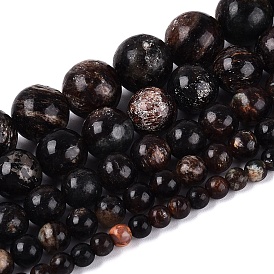 Natural Biotite Beads Strands, Smooth Round