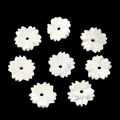 Cuentas talladas de concha de trochus natural, flor