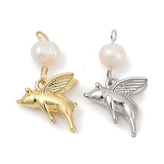 Подвески из натурального пресноводного жемчуга и латуни, свинья прелести, стойки покрытие, без кадмия и без свинца, долговечный