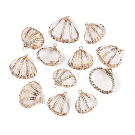 Подвески из натуральных морских ракушек, покрытые гальваническим способом, подвески в форме ракушек, с медными петлями, золотые