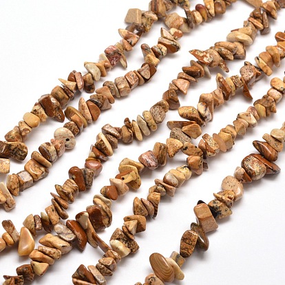 Natural Picture Jasper Chip Bead Strands, 5~8x5~8mm, Hole: 1mm, about 31.5 inch