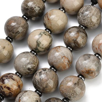 Natural Fossil Coral European Beads Strands, Large Hole Beads, Round