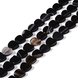 Natural Black Agate Beads Strands, Heart