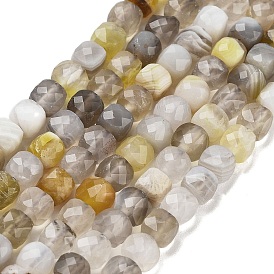 Natural Botswana Agate Beads Strands, Faceted, Cube