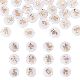24Pcs 12 Styles Natural Freshwater Shell Beads, with Golden Plated Brass Etched Metal Embellishments, Flat Round with Twelve Constellations, Seashell Color