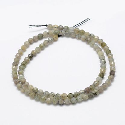 Natural Labradorite Beads Strands, Round, Faceted